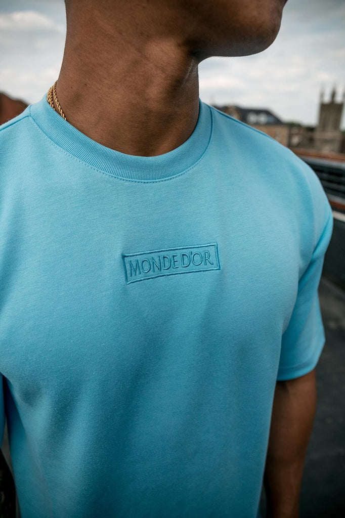 mens denver blue tee